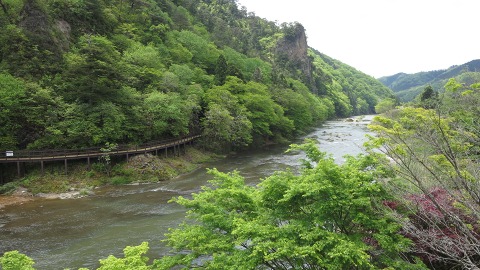 e0202031_2232318.jpg