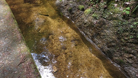 e0202031_223381.jpg