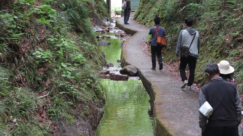 2016.05.05　矢祭山_e0202031_22343125.jpg