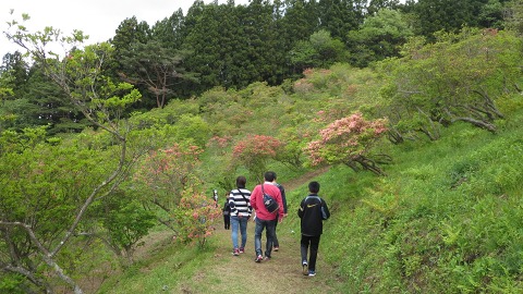 2016.05.05　矢祭山_e0202031_22362777.jpg