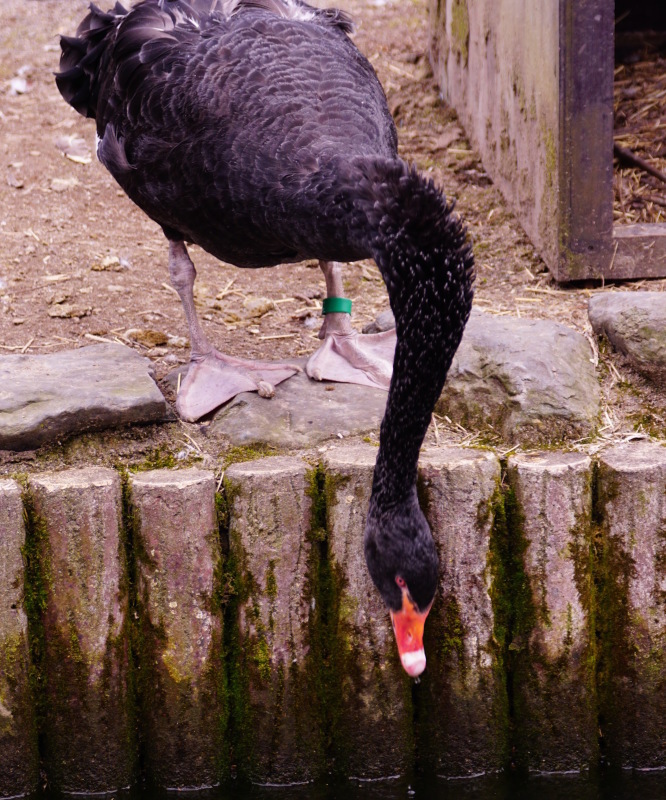 b0024832_20415755.jpg