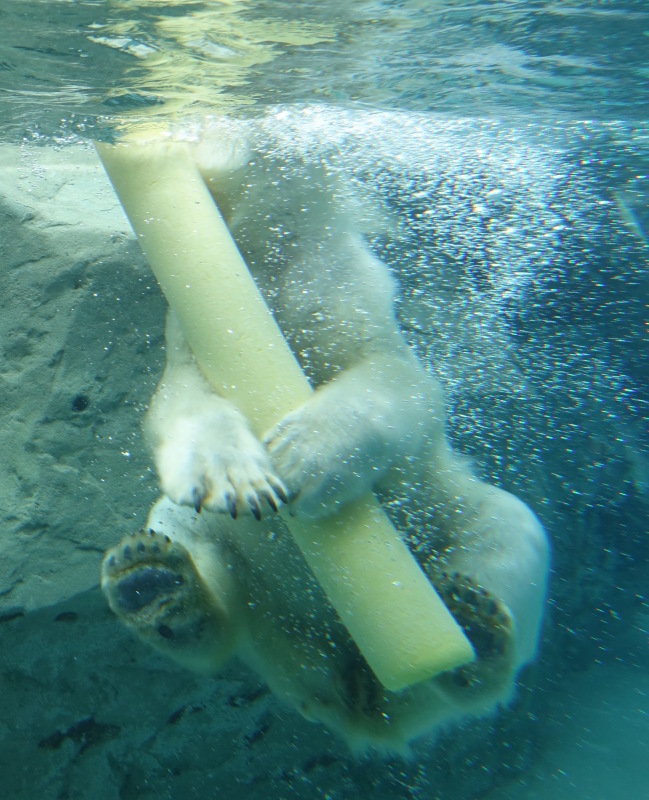 b0024832_21430464.jpg