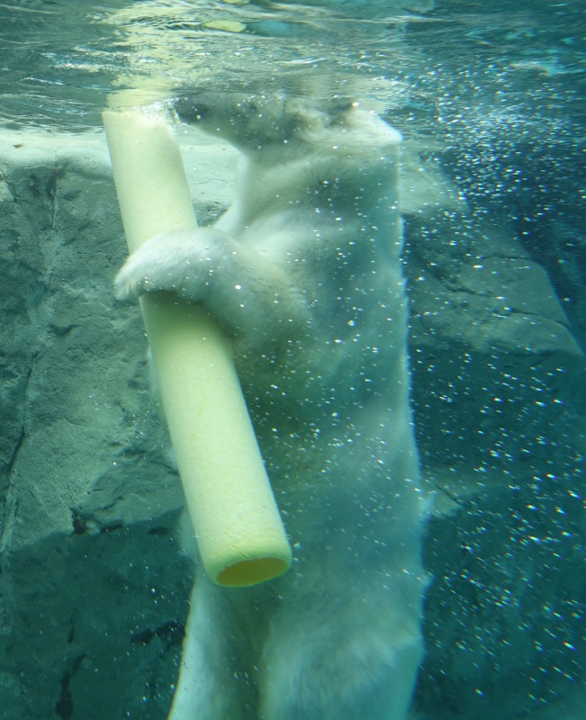 b0024832_21434907.jpg