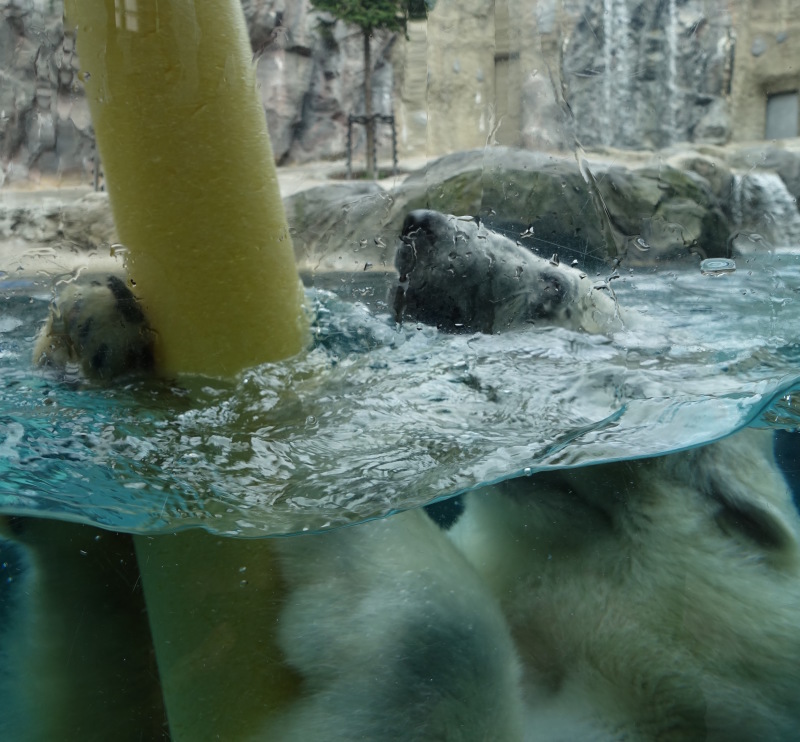 b0024832_21450478.jpg