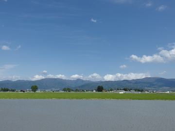 土曜日の青空_a0014840_2153822.jpg