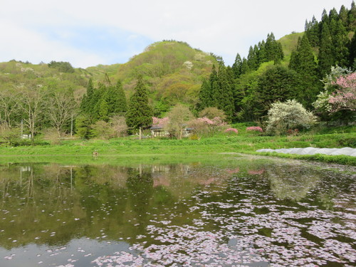 b0238249_1710447.jpg