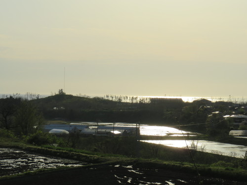 b0238249_1725876.jpg