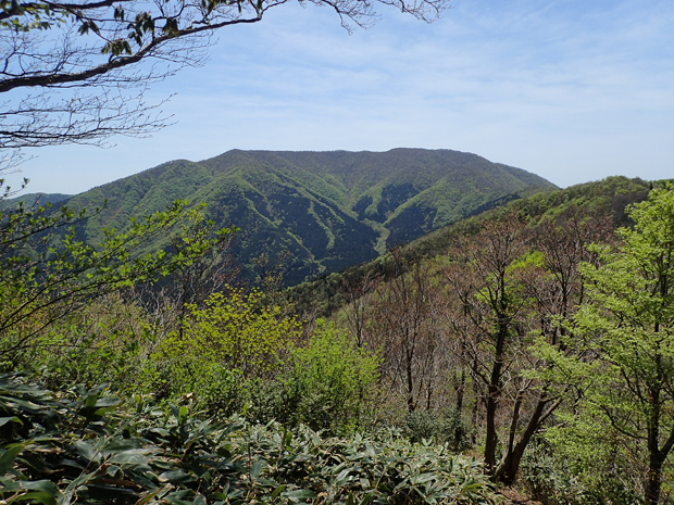 毛無山＊下見④_f0214649_225441.jpg