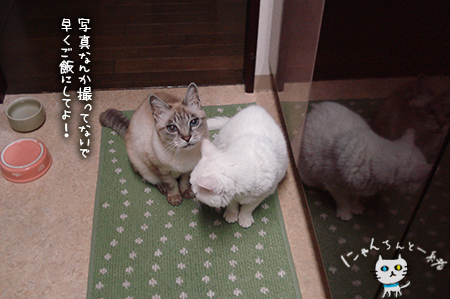 無言の圧力を実行せよ_e0031853_21455078.jpg
