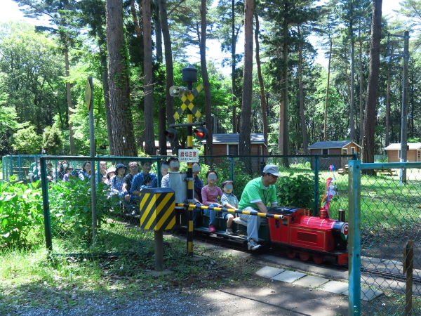 私のゴールデンウィーク16 お蕎麦とお寿司と 草ぶえの丘 ニッキーののんびり気まま暮らし