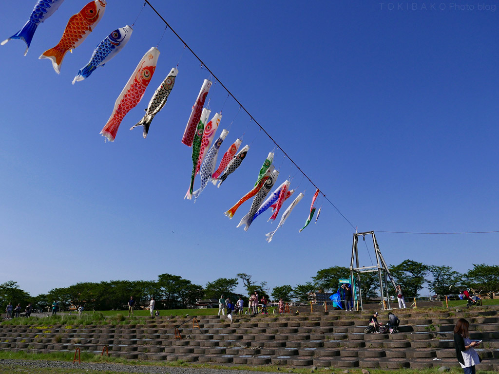 第29回泳げ鯉のぼり相模川...に行ってみた。_d0100156_11043960.jpg