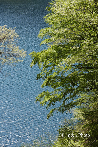 e0321360_02081229.jpg