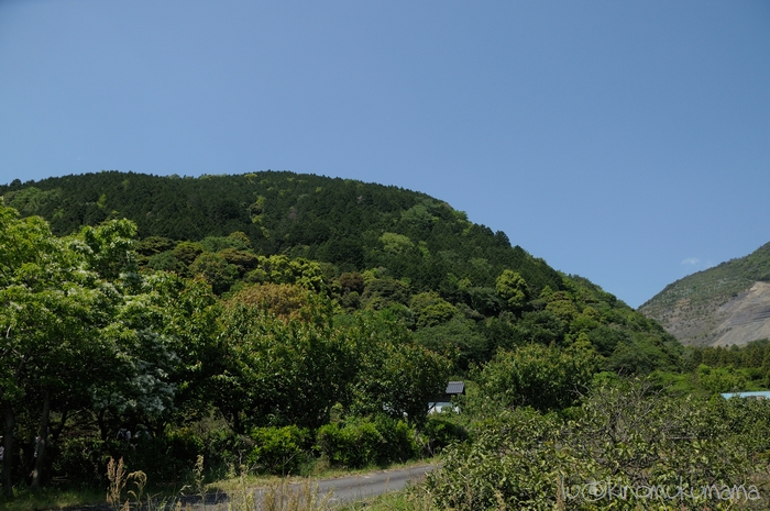 c0246261_17463041.jpg