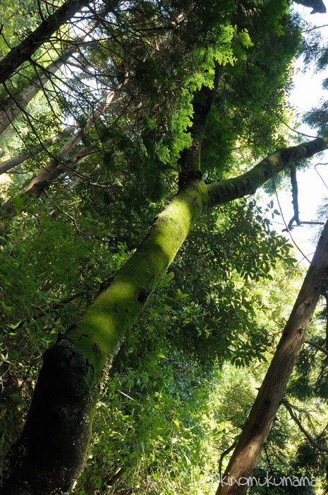 c0246261_17493012.jpg