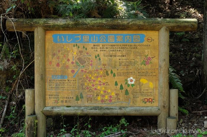c0246261_17513633.jpg