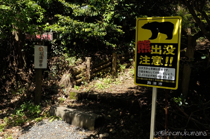 c0246261_1752669.jpg
