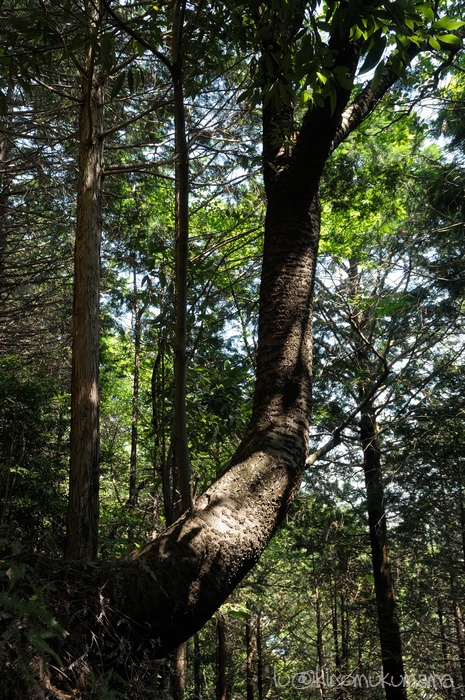 c0246261_17553842.jpg