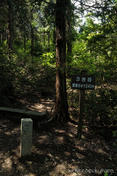 c0246261_1841322.jpg