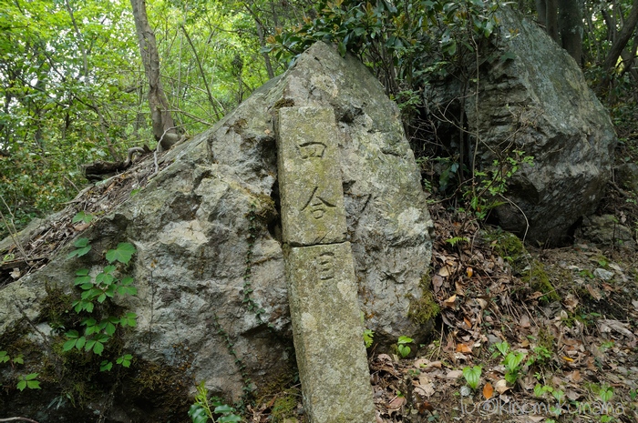 c0246261_1841489.jpg