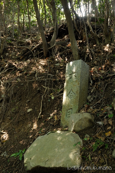 c0246261_20203291.jpg