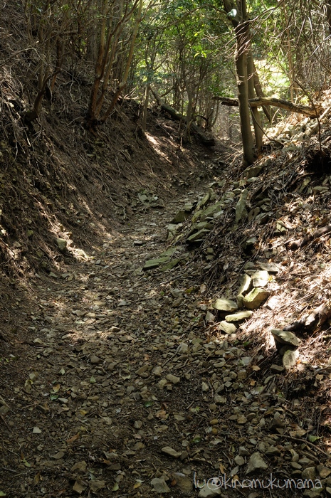 c0246261_20233064.jpg
