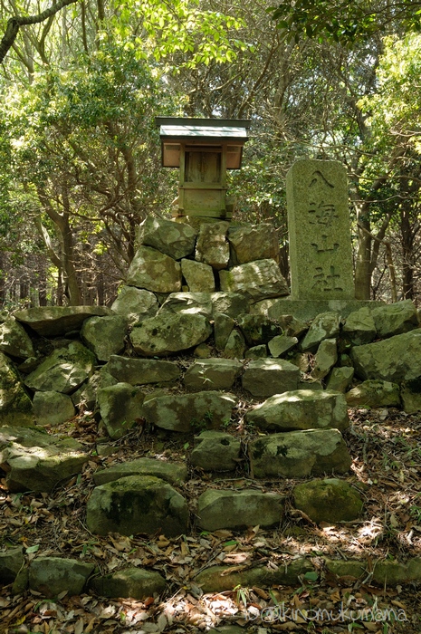 c0246261_20245995.jpg