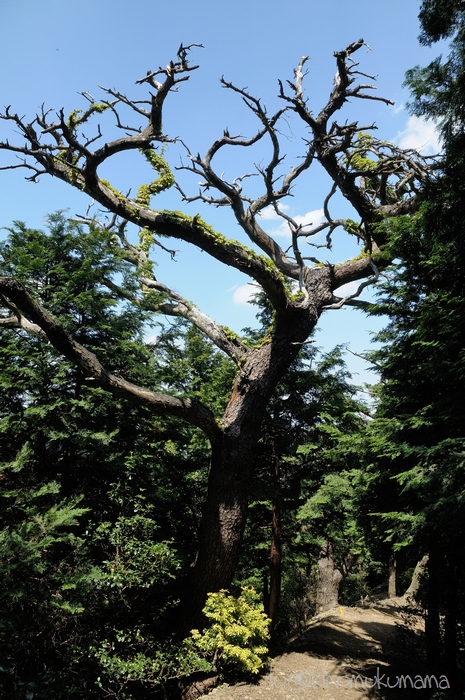 c0246261_203239100.jpg