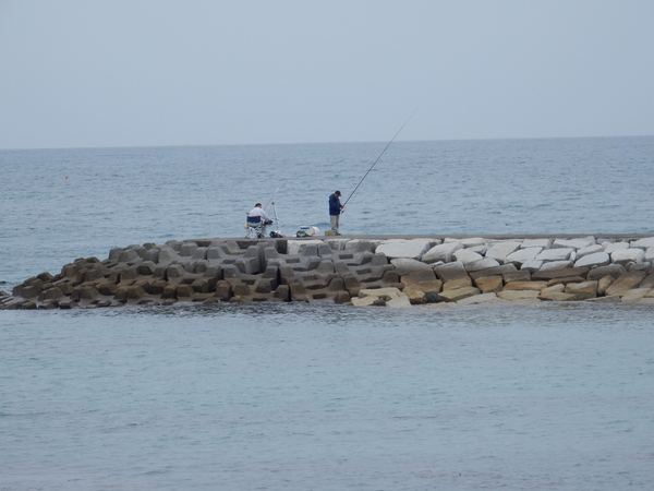 ’16,5,7(土)興津海岸までお散歩!_f0060461_928662.jpg