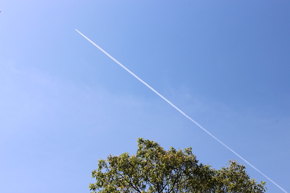 f0296165_9333670.jpg