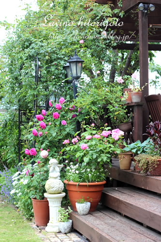 c0139168_1258153.jpg