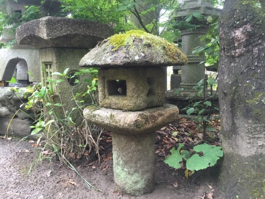 水蛍燈籠 : 男のロマンは女の不満