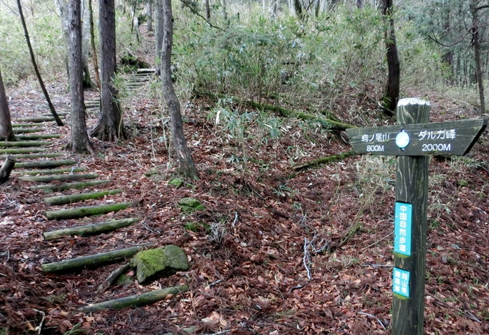 No441 岡山県・駒の尾山、後山は断念ちくさスキー場へ_b0185573_17185315.jpg