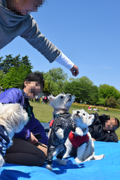 b0242873_01451558.png