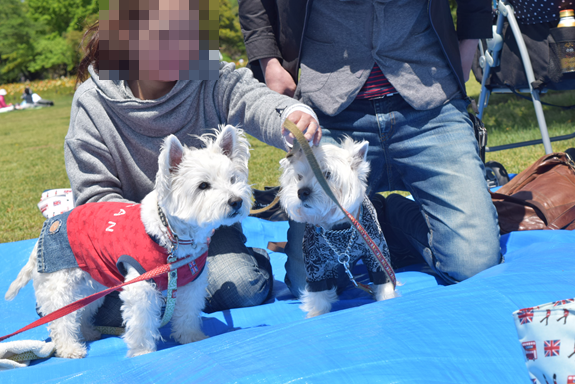 b0242873_01492079.png
