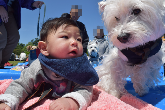 b0242873_09485548.png