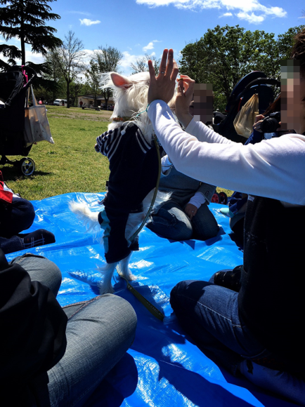 b0242873_09500978.png