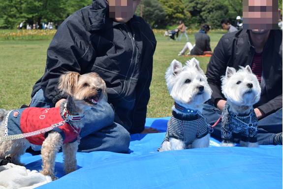 b0242873_09511077.png
