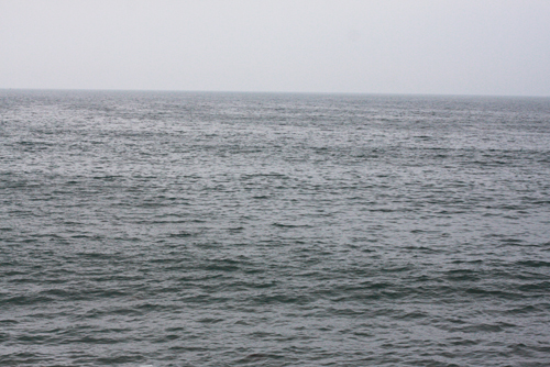 b0176483_1872931.jpg