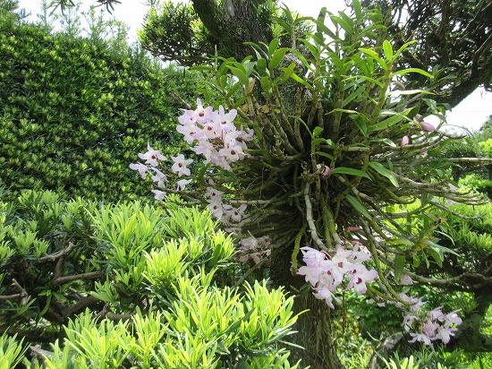 b0182884_22421666.jpg