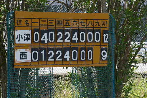a0134886_8161340.jpg