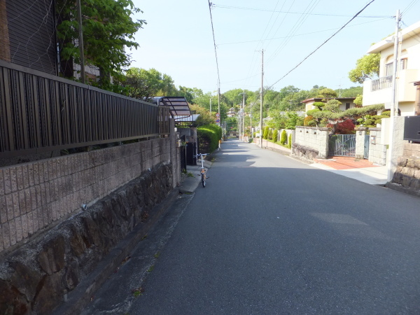 歩こう　池を見に行こう　（20）カス池　新池_b0212898_11021395.jpg