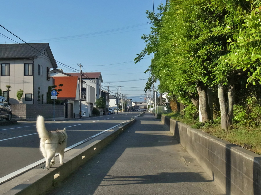 c0049299_23101789.jpg