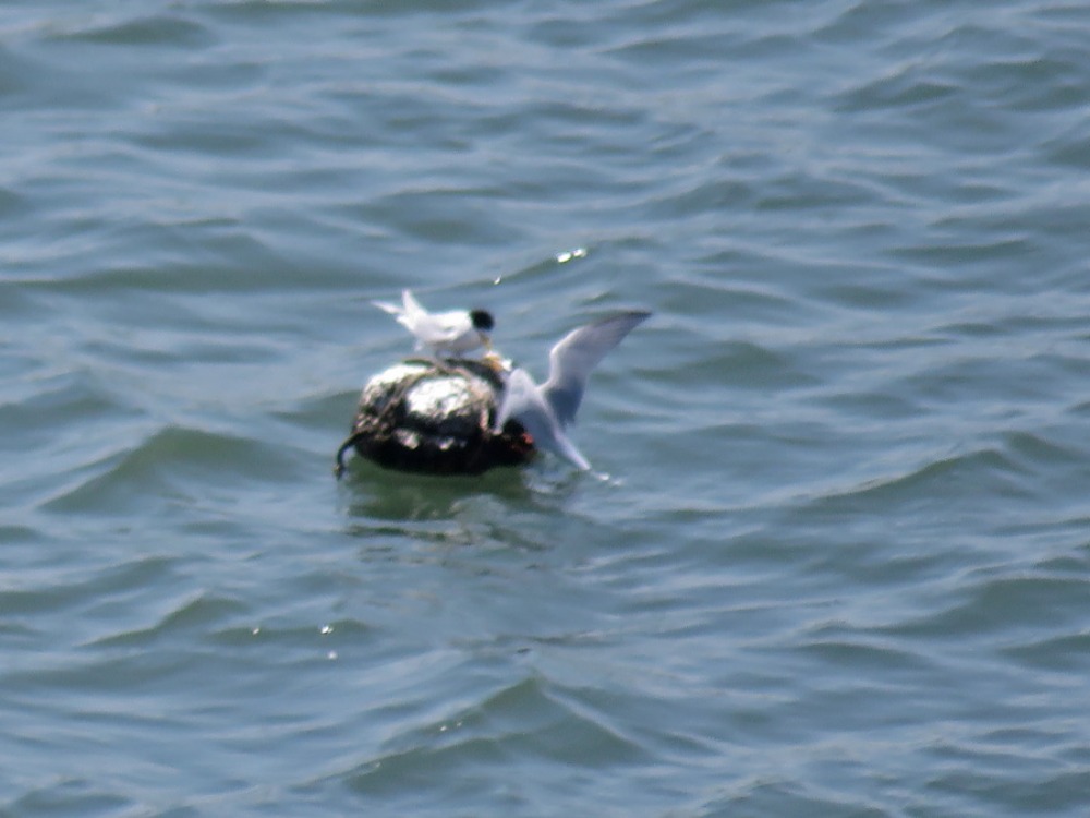 c0049299_2355251.jpg