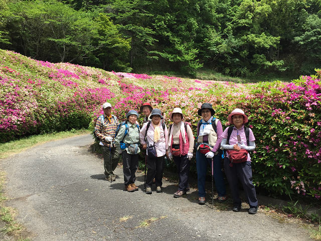 2016/5/8　生駒山系　なるかわ園地ハイキング_b0362900_19534015.jpg