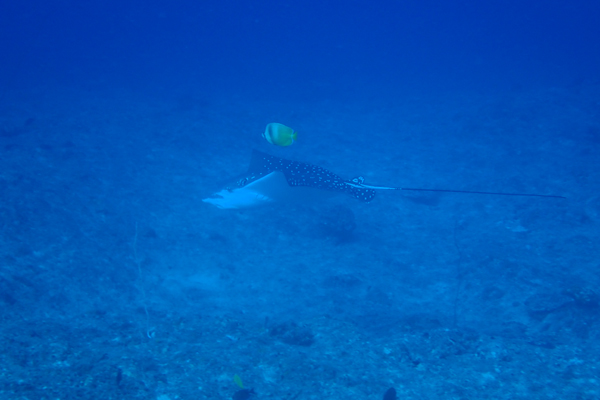 f0121701_20295331.jpg