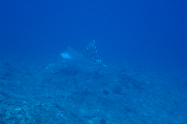 f0121701_2030132.jpg