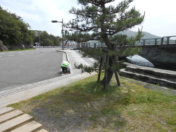 名勝和歌の浦クリーンアップ　市町川歩道と忠魂碑_c0367107_12380268.jpg