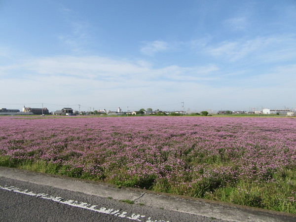f0231709_07935.jpg