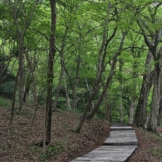 5月のメニュー_c0097611_22142872.jpg