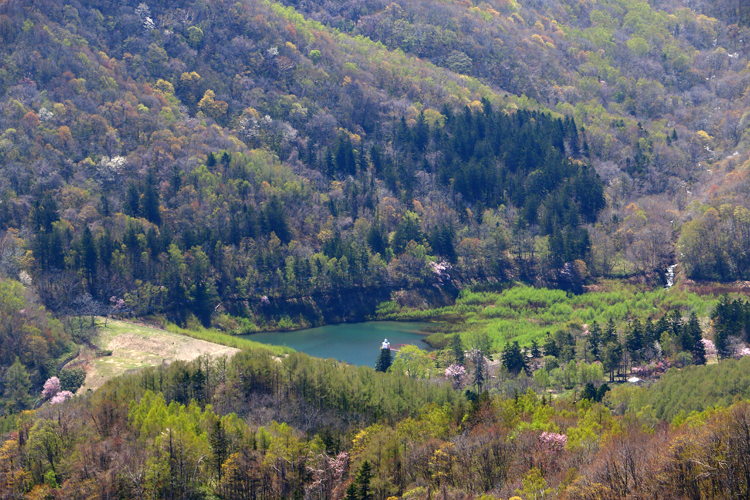 d0339411_12061460.jpg